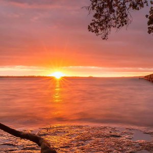 日本男生和女生一起努力生小孩
