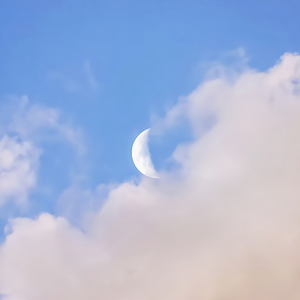 日本男生和女生一起努力生小孩
